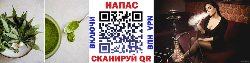 Canna-Cookies конопля сколько стоит Вязьма