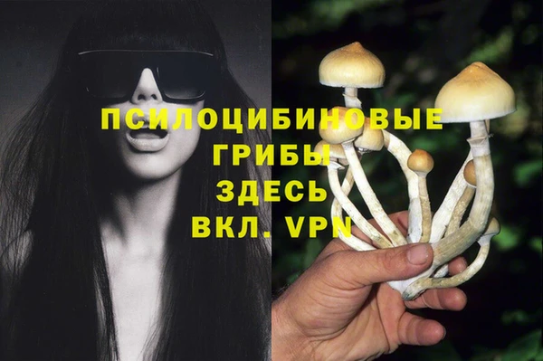 каннабис Баксан
