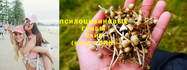 ECSTASY Беломорск