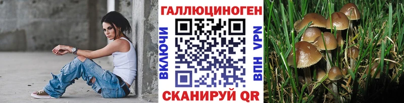 Галлюциногенные грибы мицелий  это какой сайт  Вязьма 